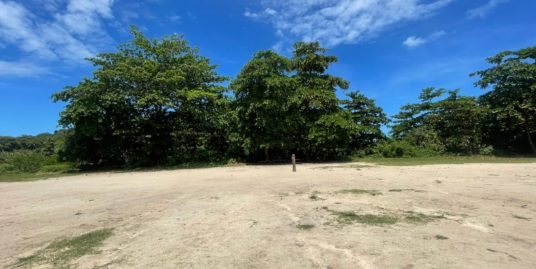 Vendo Sítio – Propriedade Rural em Arthur Lundgren II – Paulista/PE